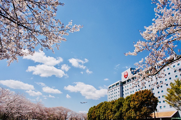 「桜めでる2019」グランプリ阿部信子様の作品　『SAKURA@hotel nikko narita』