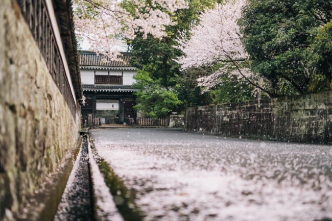 飫肥城大手門