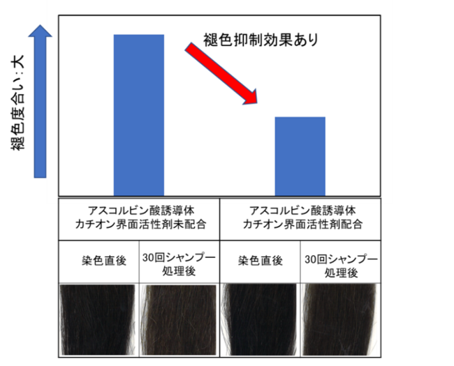 図2)褪色抑制効果の確認（色差計測値、毛髪外観像）