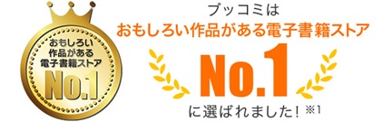 おもしろい作品がある電子書籍ストア