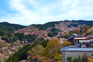 【吉野山の風景】