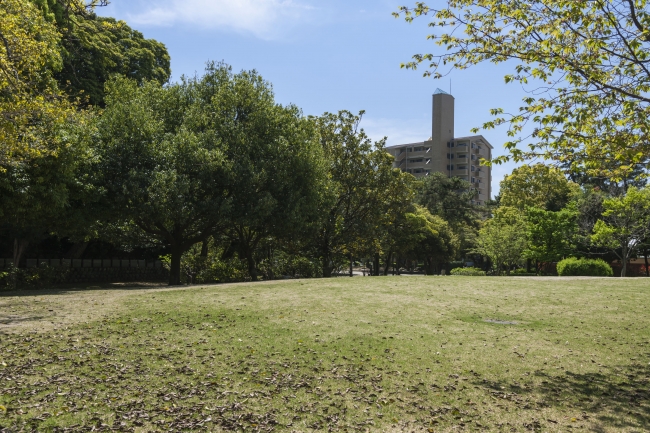 「鵜の森公園」