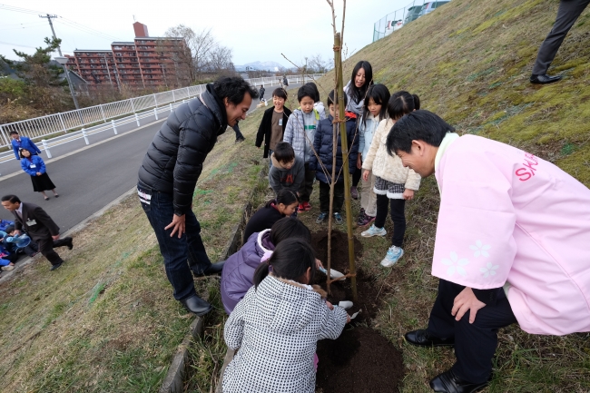 【桜プロジェクト　植樹のようす】