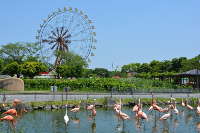 東武動物公園