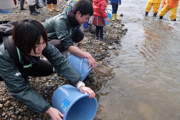 由良川で稚魚を放流するようす