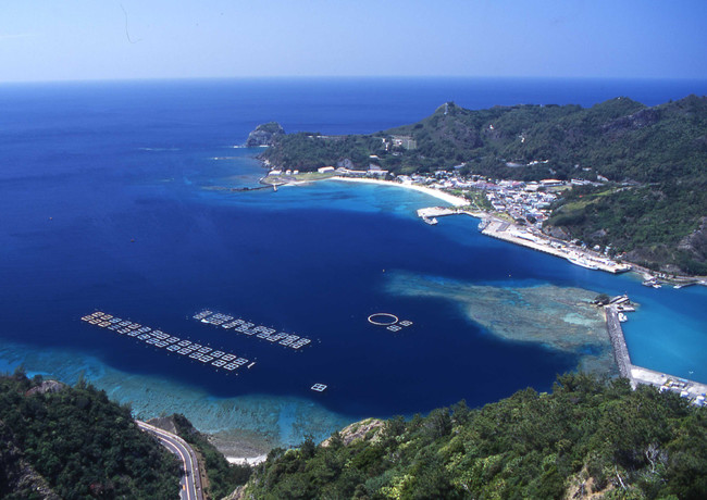 世界自然遺産  小笠原諸島