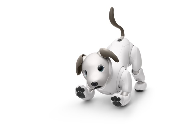 ソニー製エンタテインメントロボット「aibo」