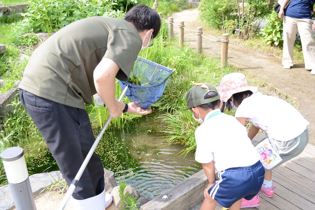 「京の里山いきもの観察会」イメージ