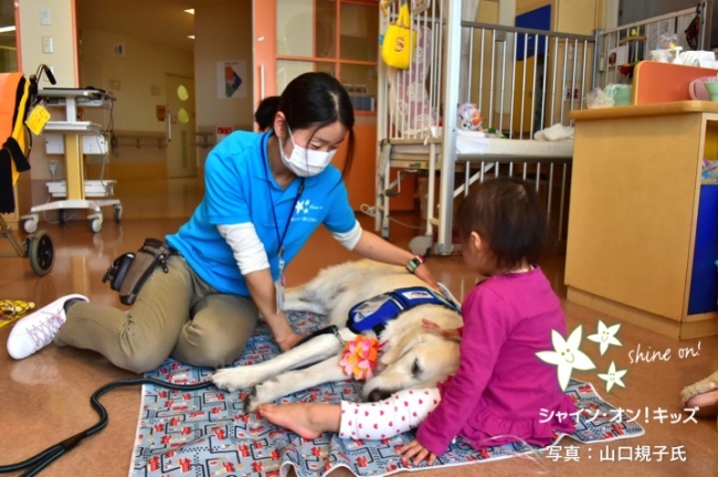 神奈川県立こども医療センター病棟内で子どもと触れ合うベイリー