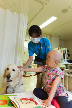 前任犬のヨギがハンドラーの鈴木とともに、ベッドサイドを訪問している様子