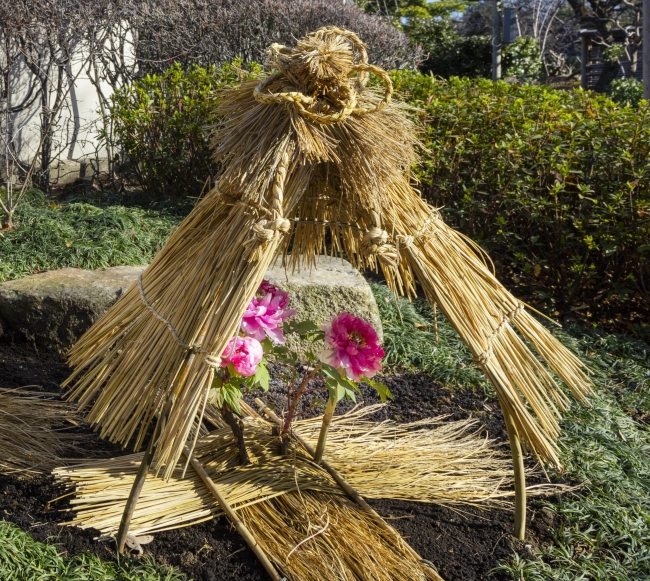 [お花を模した飾り結び] お花を模した飾り結び