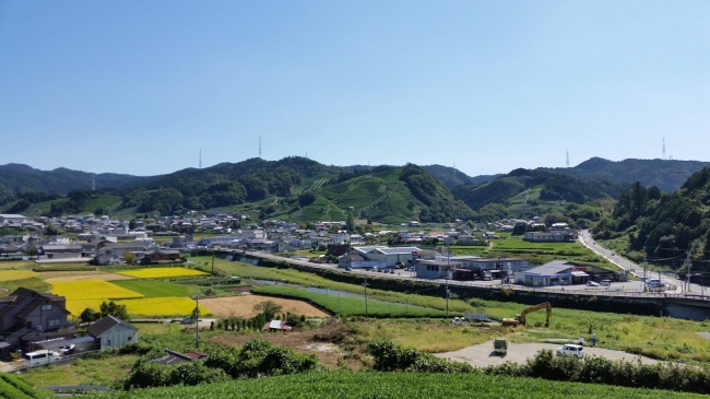 目指す茶園は山の高い位置にあり、和束町を一望できます