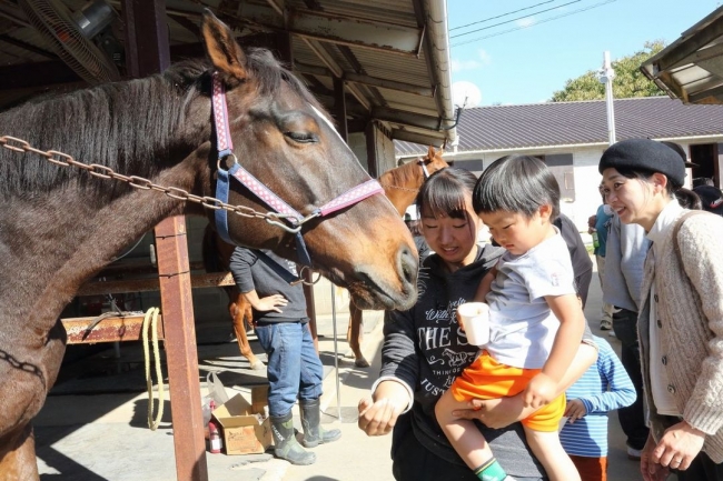 引退競走馬はホースセラピーとしても可能性を秘めている。