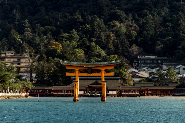 厳島神社大鳥居　写真近藤篤