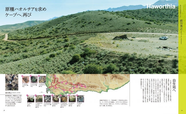 ハオルチアの原種の自生地、南アフリカ。ページ掲載のQRコードからYouTubeの空撮動画が見られる。
