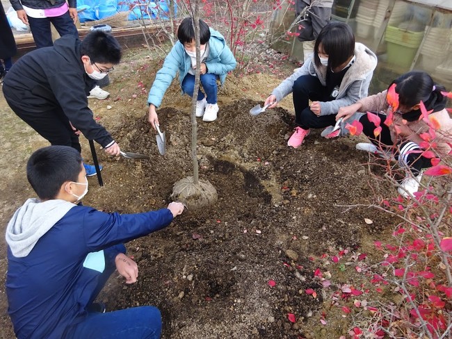 ヤマザクラの植樹式