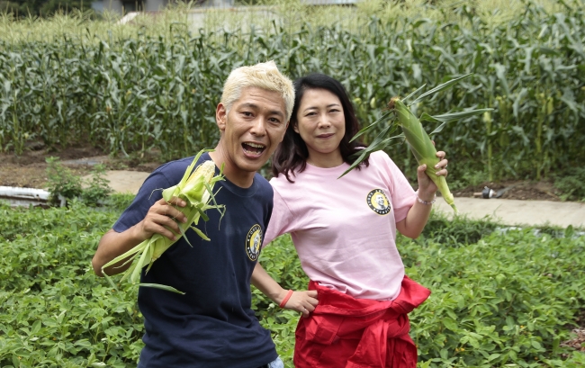 椿鬼奴とトウモロコシを収穫