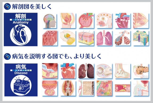 医療の専門的な内容をわかりやすくビジュアルで表現したイラスト「Medic Art」