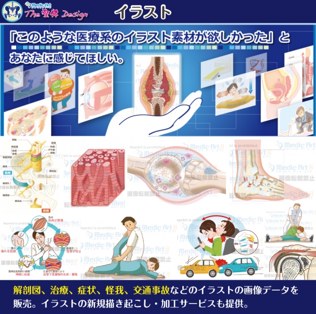 Medic Art 「The 整体 Design」のイラストの見本