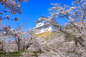 春の津山城