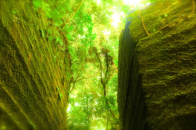 鋸山（切通し跡）