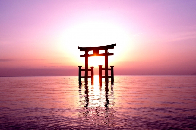 白鬚神社 PHOTO Takayoshi Satou