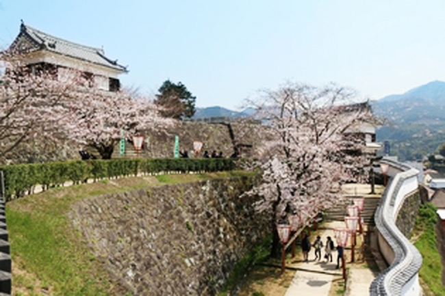 臼杵城址桜まつり