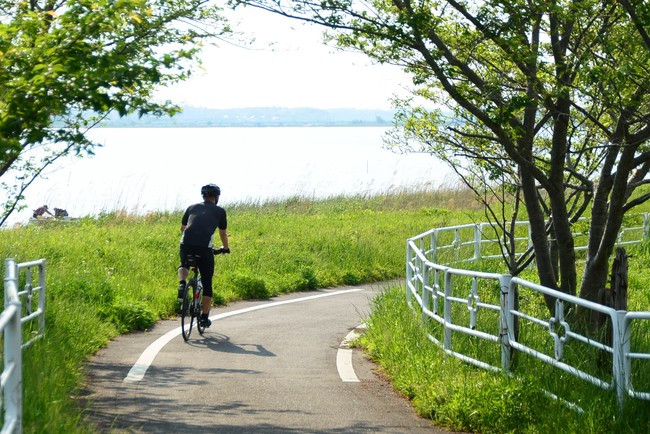 印旛沼サイクリングロード