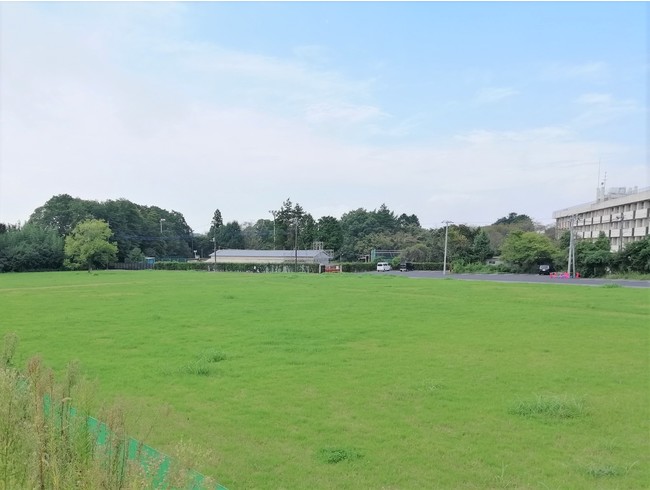 会場のひとつ大手門跡広場（佐倉城址公園）