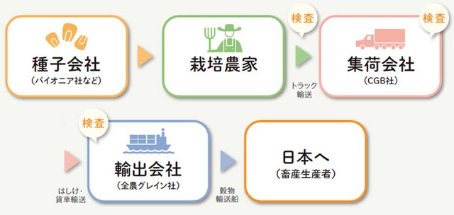 参考：Non-GMトウモロコシが日本に届くまで