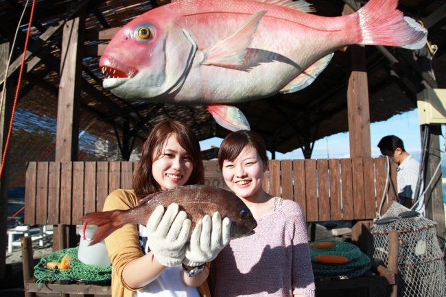 鳴門鯛釣り堀体験