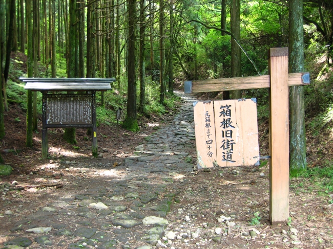 箱根旧街道イメージ