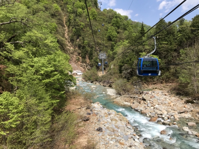 清津川の清流のせせらぎ