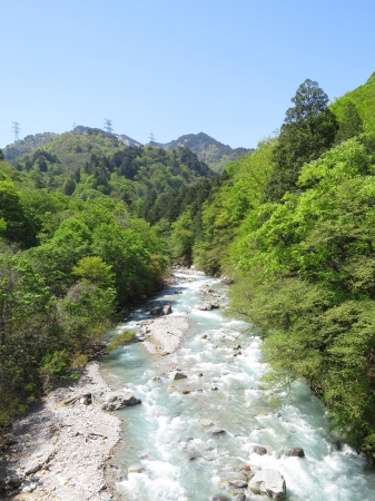 清津川の渓流