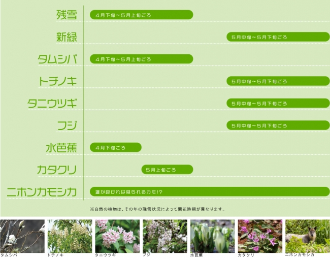 新緑の見どころ