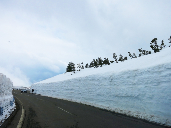 292号国道線「雪の回廊」　(2017年4月撮影)　 