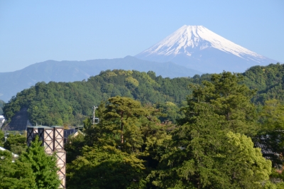 茶畑からの景色イメージ（二つの世界遺産）