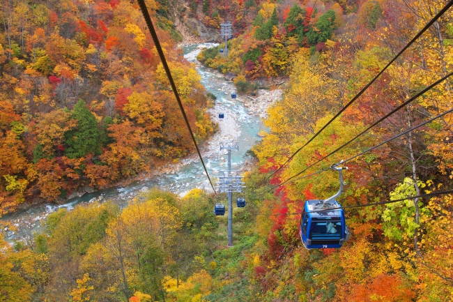 紅葉の中を急降下していく絶景ポイント(14号柱付近)