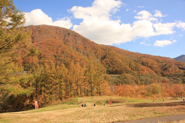 紅葉の中をのんびりとお散歩