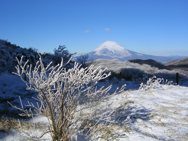 箱根 駒ヶ岳ロープウェー 山頂からの樹氷と富士山 イメージ