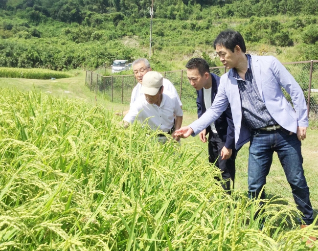 9月に三木市内の「山田錦」圃場を訪問した小笠原靖彦(右)と木下学(右から2人目)