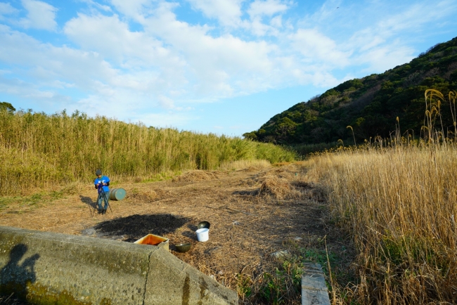 無人島シネマフェス会場を広げるための草刈りが続きます