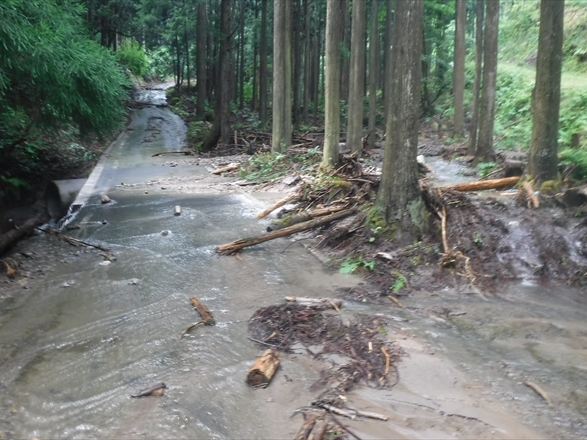 鳥取県八頭町