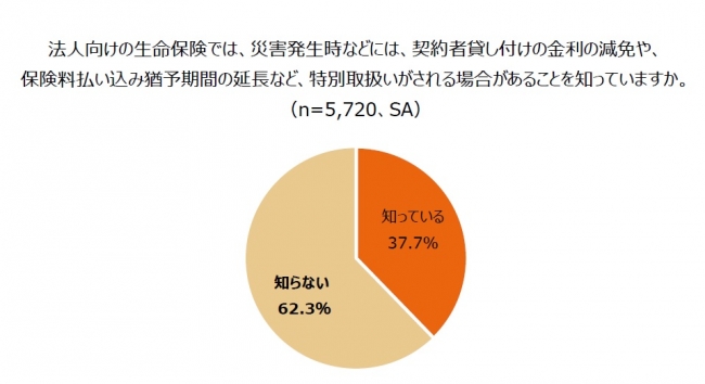 リリース画像(11)