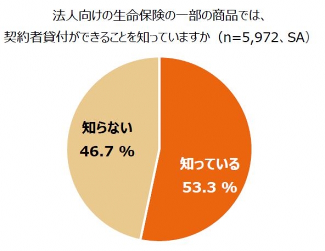 リリース画像(11)