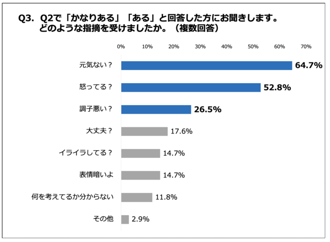 Q3. どのような指摘を受けましたか。（複数回答）