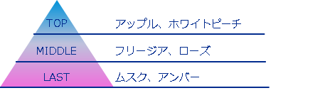 ラッドスカイ　ピーエム　オードトワレ　香りのイメージ図