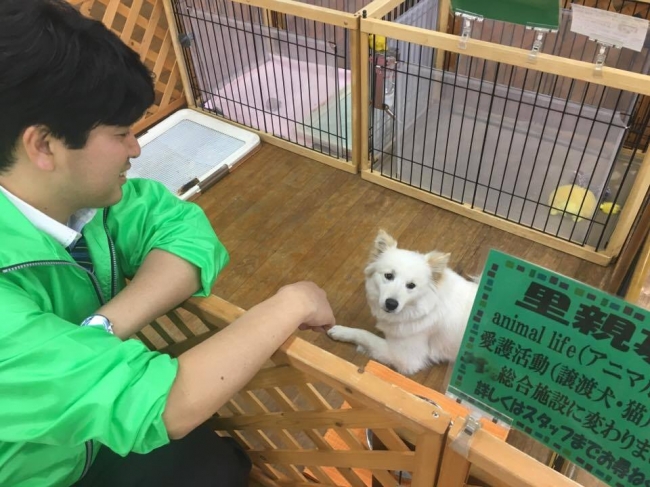 当社代表取締役・竹堂と保護犬のニイナ