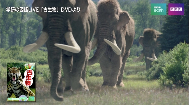 ▲ＤＶＤのワンシーン。絶滅した生き物が迫力あるＣＧでよみがえります。