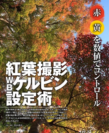 ▲色温度設定でここまで変わる紅葉の色再現をじっくり解説します。